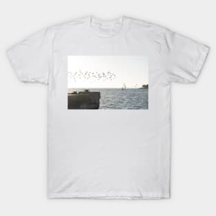 Key West Sea Gulls T-Shirt